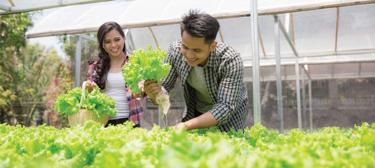 Ketahui Jenis Pajak Badan Usaha Milik Desa Beserta Penjelasannya