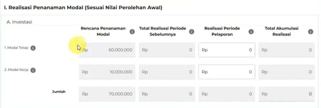 Isi Realisasi Investasi LKPM OSS
