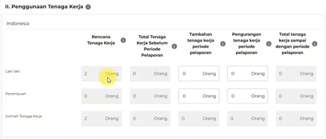 Pengisian Data Ketenagakerjaan LKPM OSS